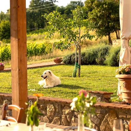 Azienda Agricola I Colli Di Marliano Lastra a Signa Luaran gambar