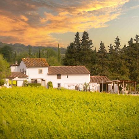 Azienda Agricola I Colli Di Marliano Lastra a Signa Luaran gambar