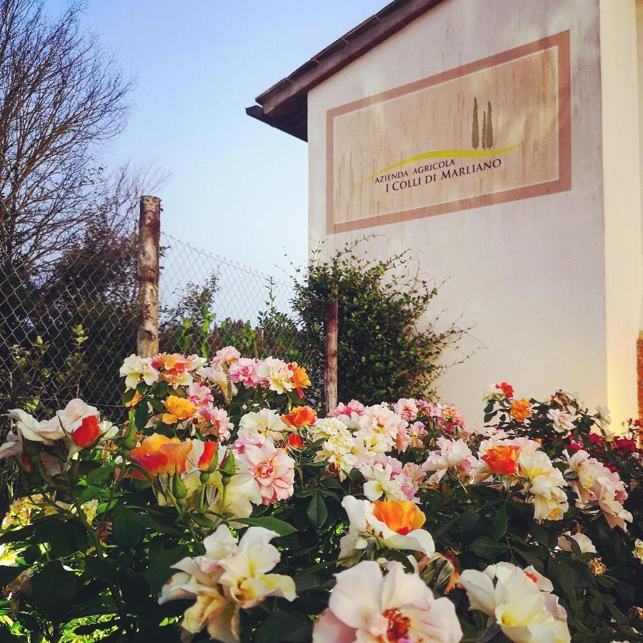 Azienda Agricola I Colli Di Marliano Lastra a Signa Luaran gambar