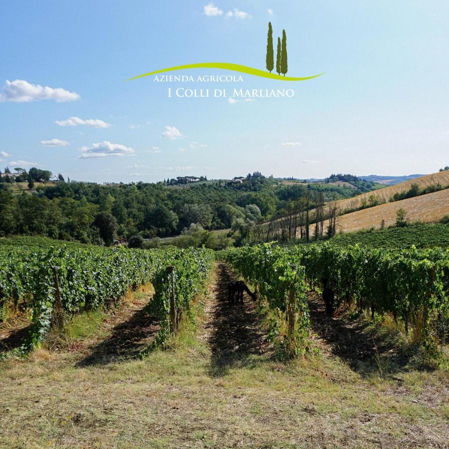 Azienda Agricola I Colli Di Marliano Lastra a Signa Luaran gambar